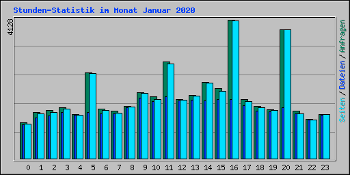 Stunden-Statistik im Monat Januar 2020