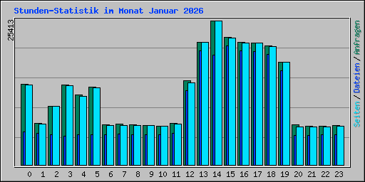 Stunden-Statistik im Monat Januar 2026