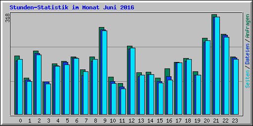 Stunden-Statistik im Monat Juni 2016