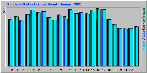 Stunden-Statistik im Monat Januar 2021