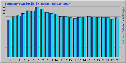 Stunden-Statistik im Monat Januar 2024