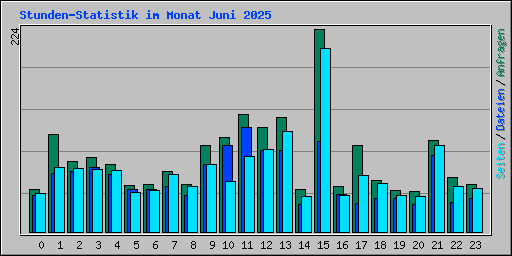Stunden-Statistik im Monat Juni 2025