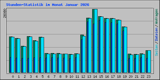 Stunden-Statistik im Monat Januar 2026